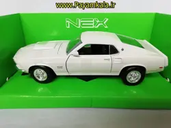 ماکت ماشین فلزی فورد موستانگ بزرگ (1:24) (1969 FORD MUSTANG BOSS 429)