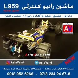 ماشین کنترلی آفرود حرفه ای Wltoys L959