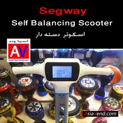 اسکوتر برقی هوشمند دسته دار D14 Segway