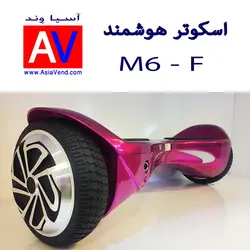 اسکوتر هوشمند 6 اینچی M6-F