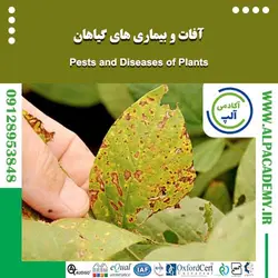 آفات و بیماری های گیاهان و روشهای پیشگیری و کنترل آنها