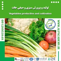 تولید و پرورش سبزی و صیفی جات