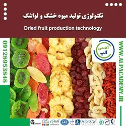 تکنولوژی تولید میوه خشک و لواشک