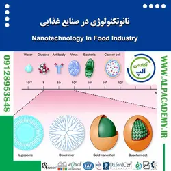 نانوتکنولوژی در صنایع غذایی