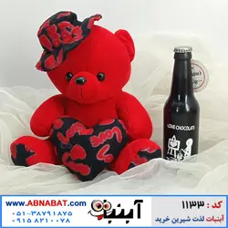 خرس ولنتاین کوچک قرمز 30 سانت کلاهدار با قلب کد 1133