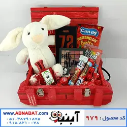 پک هدیه دخترانه ویژه ولنتاین کد 979