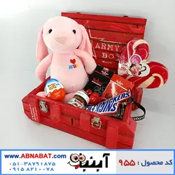 پک هدیه دخترانه ویژه ولنتاین کد 955