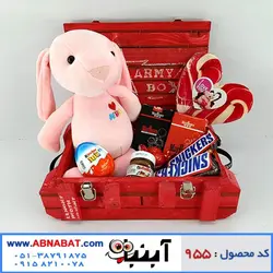 پک هدیه دخترانه ویژه ولنتاین کد 955