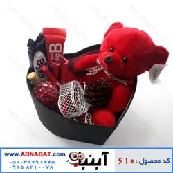پکیج هدیه ولنتاین کد 610