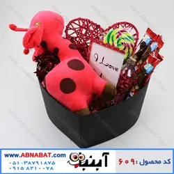 پک هدیه ویژه ولنتاین کد 609