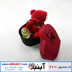 پکیج هدیه ولنتاین کد 620