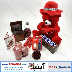 پک هدیه ویژه ولنتاین کد 586