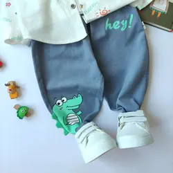 ست دو تیکه دایناسور وارداتی