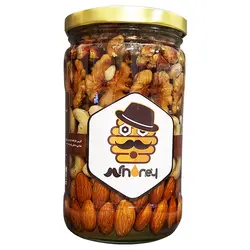 عسل حاوی مغزهای خوراکی 850 گرمی | آقای عسل