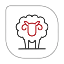 طباخان شبکه هلو کد (۸۴۰۴۴) - خدمات آنلاین هلو