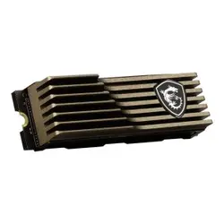 اس اس دی 2 ترابایت MSI مدل SPATIUM M460 PCIe 4.0 NVMe M.2 HS