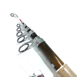 چوب ماهیگیری آلبستار لیدر 4 متر