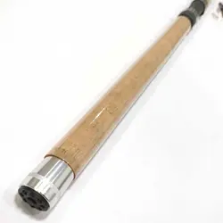 چوب ماهیگیری آلبستار لیدر 4 متر