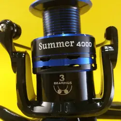 چرخ ماهیگیری رمیکسون سامر 4000