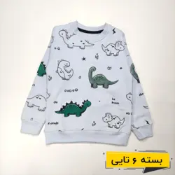 بلوز تک پسرانه طرح ژوراسیک | پوشاک کودکان هدهد