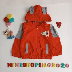 بارونی پسرانه