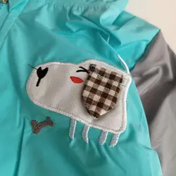 بارونی پسرانه