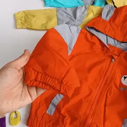 بارونی پسرانه