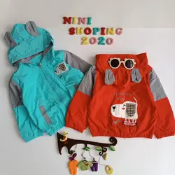 بارونی پسرانه