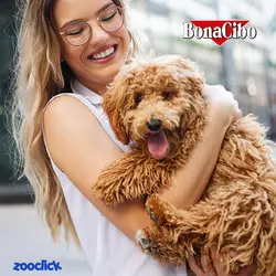 تشویقی مدادی سگ بوناسیبو با گوشت گاو - Bonacibo Adult Dog Stick With Beef | پت شاپ آنلاین زوکلیک