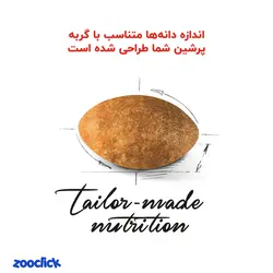 غذای خشک گربه پرشین رویال کنین 10 کیلویی - Royal Canin Persian Adult 10Kg | پت شاپ آنلاین زوکلیک