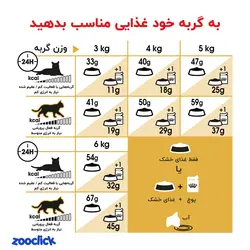 غذای خشک گربه پرشین رویال کنین 10 کیلویی - Royal Canin Persian Adult 10Kg | پت شاپ آنلاین زوکلیک