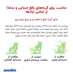 غذای خشک گربه طعم بره و برنج بوناسیبو 5 کیلوگرم - Bonacibo Adult Cat Food Lamb & Rice | پت شاپ آنلاین زوکلیک
