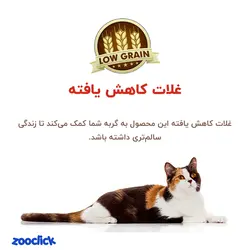 غذای خشک گربه طعم بره و برنج بوناسیبو 5 کیلوگرم - Bonacibo Adult Cat Food Lamb & Rice | پت شاپ آنلاین زوکلیک