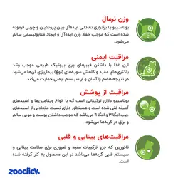 غذای خشک بچه گربه با طعم مرغ، ماهی کولی و برنج بوناسیبو – Bonacibo Kitten Food Chiken With Anchovy & Rice