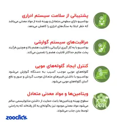 غذای خشک بچه گربه با طعم مرغ، ماهی کولی و برنج بوناسیبو – Bonacibo Kitten Food Chiken With Anchovy & Rice