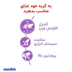 غذای خشک گربه بالغ عقیم شده استریلایزد 37 رویال کنین – Royal Canin Sterilised 37