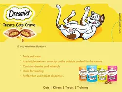 تشویقی گربه دریمیز Dreamies با طعم ماهی سالمون وزن 60گرم