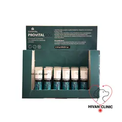 مکمل پرویتال سگ زویتال