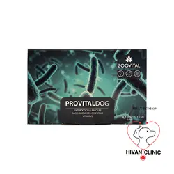 مکمل پرویتال سگ زویتال