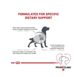 غذای سگ بیماری کبدی رویال کنین