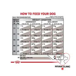 غذای سگ بیماری کبدی رویال کنین