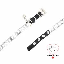 ست قلاده و لید سنگ کاری شده برند لاکچری پت