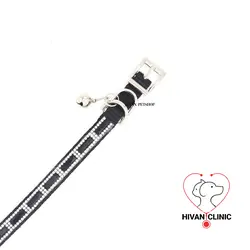 ست قلاده و لید سنگ کاری شده برند لاکچری پت