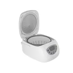 پلوپز دیجیتالی پارس خزر 4 نفره مدل DMC101P - حجره ما - فروشگاه اینترنتی لوازم خانگی شیراز