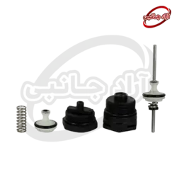 کیت تعمیر گلدیران ولب