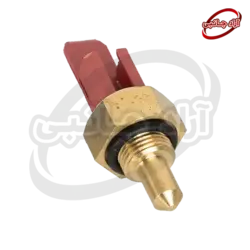 ان تی سی مستغرق (BDR)