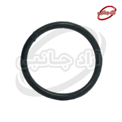 پک 100 عددی اورینگ 20x2