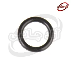 اورینگ مبدل ثانویه و پمپ پک 100 عددی