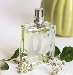 اسنتریک مولکولز اسنتریک 02