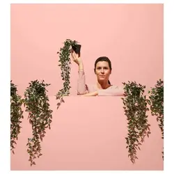 بوته گیاه مصنوعی ایکیا